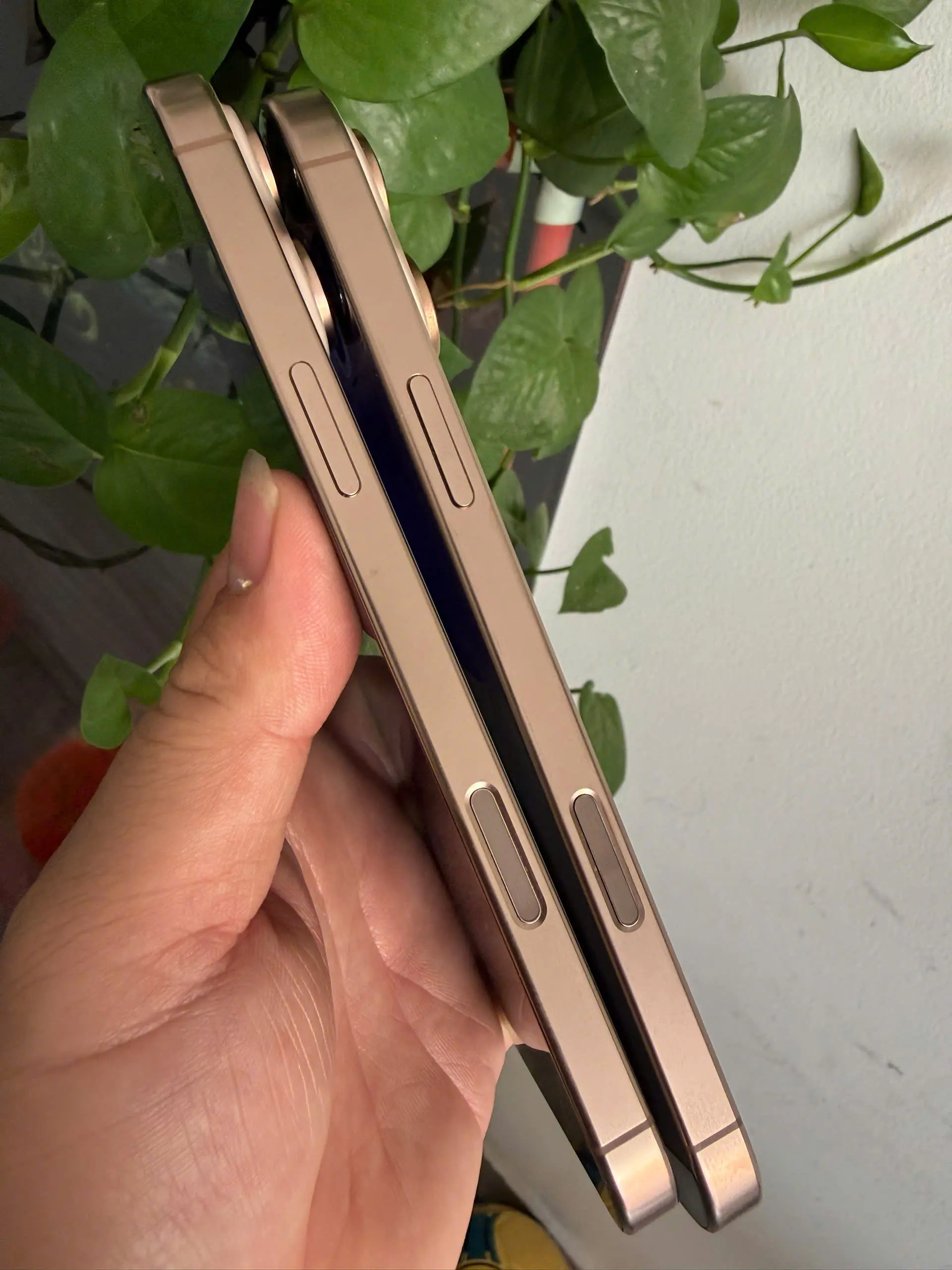 quy trinh kiem tra cong khai cong nghe truc quan ngay tai quay voi iphone cu binh duong